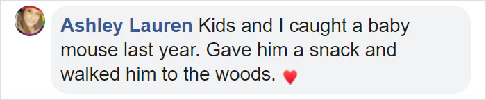 People Share Pics And Stories Of Pests They Saved Instead Of Killing