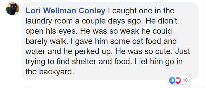 People Share Pics And Stories Of Pests They Saved Instead Of Killing