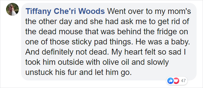 People Share Pics And Stories Of Pests They Saved Instead Of Killing