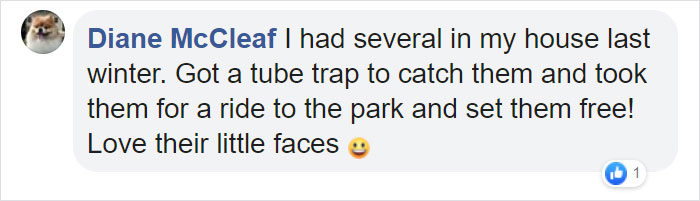 People Share Pics And Stories Of Pests They Saved Instead Of Killing