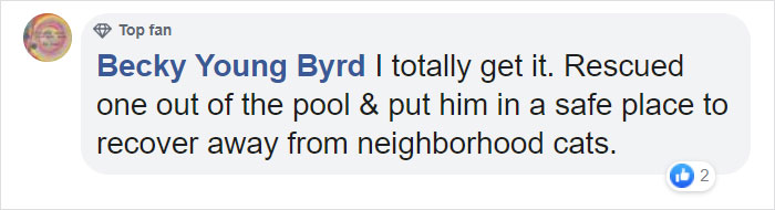 People Share Pics And Stories Of Pests They Saved Instead Of Killing