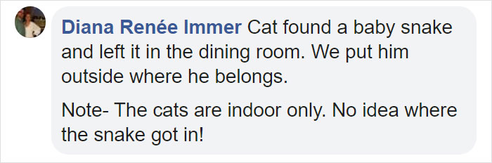 People Share Pics And Stories Of Pests They Saved Instead Of Killing