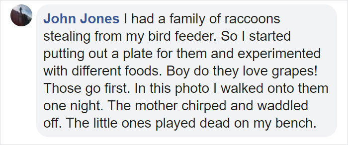 People Share Pics And Stories Of Pests They Saved Instead Of Killing