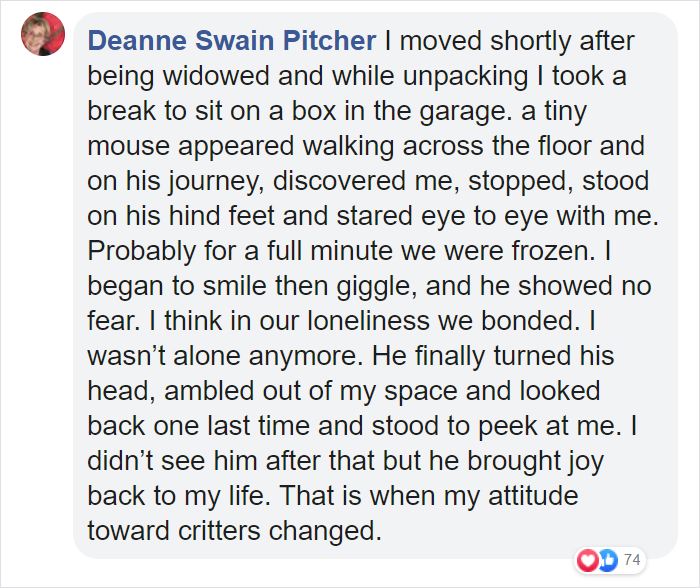 People Share Pics And Stories Of Pests They Saved Instead Of Killing