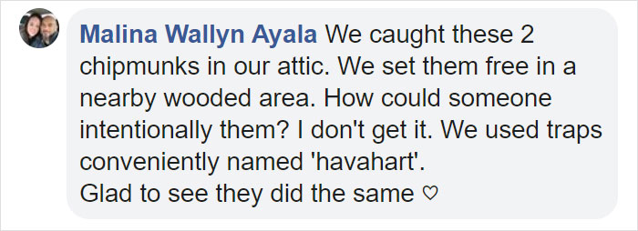 People Share Pics And Stories Of Pests They Saved Instead Of Killing