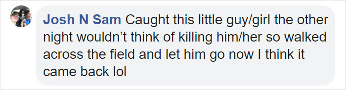 People Share Pics And Stories Of Pests They Saved Instead Of Killing