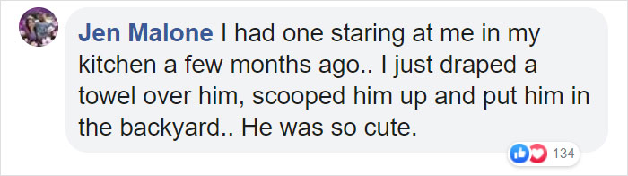 People Share Pics And Stories Of Pests They Saved Instead Of Killing