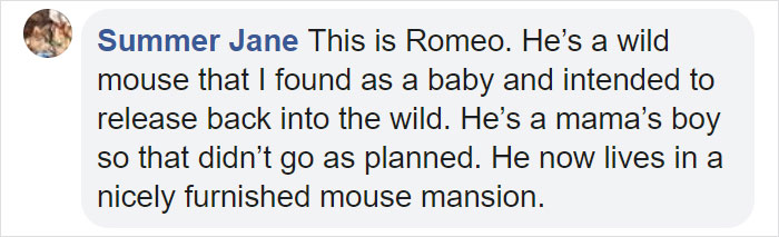 People Share Pics And Stories Of Pests They Saved Instead Of Killing