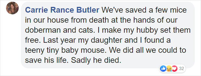 People Share Pics And Stories Of Pests They Saved Instead Of Killing