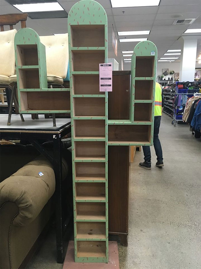 Cactus Shelf Found At Goodwill In Seattle, Wa. Think It Was Originally For Cds. Definitely Came Home With Me!