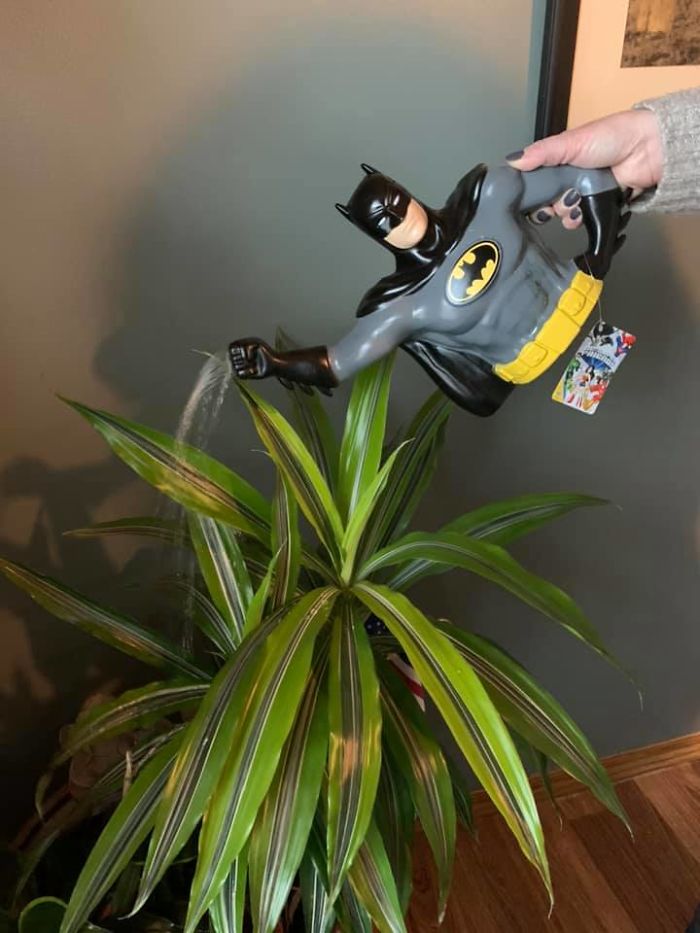 Batman Watering Can Bought New With Tags; Water Comes Out Of His Angrily-Clenched Fist
