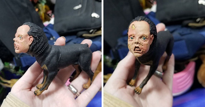 Our Town Just Opened Up A Local Good Will Outlet, Which I've Never Been To One Before. It Was A Whole Experience. I Thought I Was Picking Up A Toy Rottweiler When Suddenly It Was Looking Back At Me And Begging To Be Put Out Of Its Misery