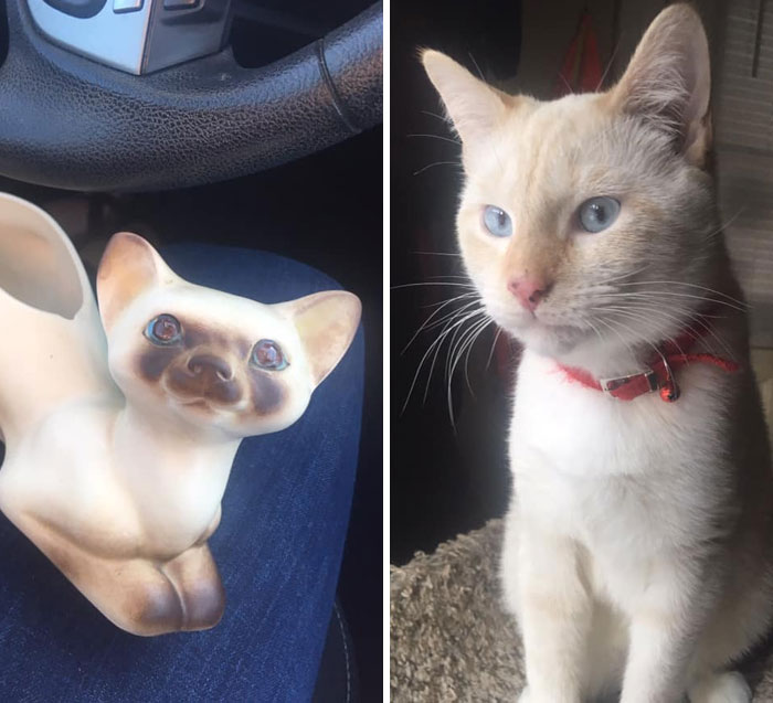 My Mom Found This Blue Eyed, Brown Tailed Stray Cat, And In The Same Week I Found This Little Porcelain Blue Eyed, Brown Tailed Kitty Container. I Knew She Had To Keep Them Both