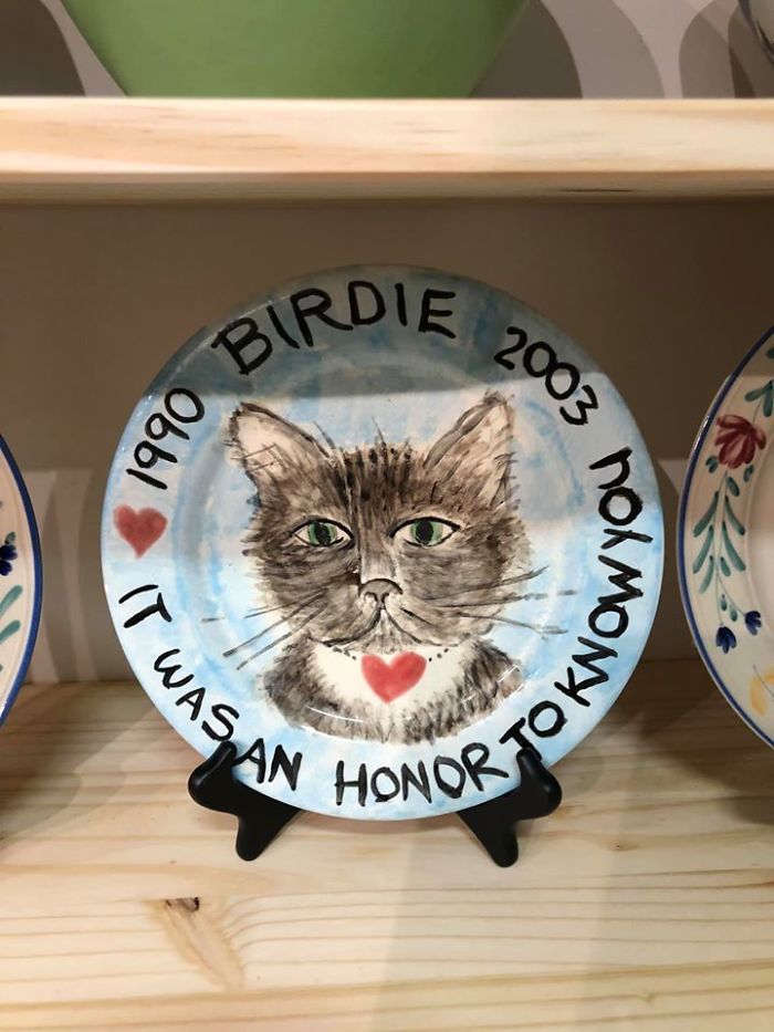 Found In Atlanta, GA. Did Not Come Home With Me