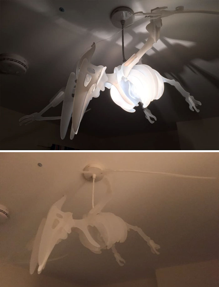 My Son Has Autism And Is Obsessed With Dinosaurs So When I Saw This Lampshade/Light Feature I Knew I Had To Get It At My Local Red Cross For Just £2.50! Absolute Bargain And My Son Loves It!