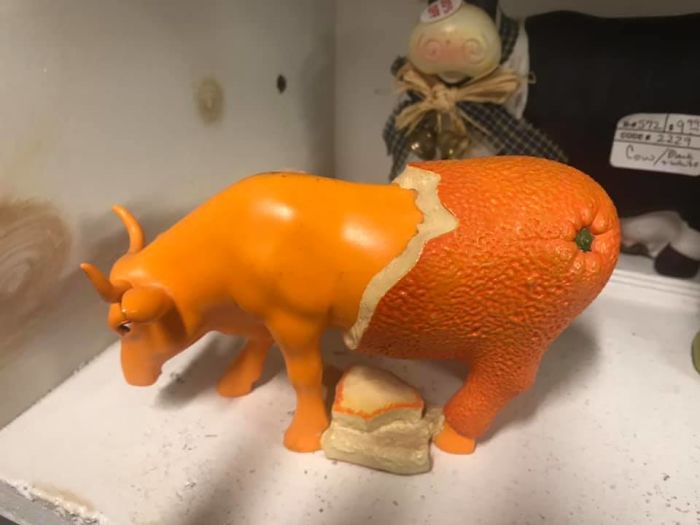 When Shopping In The Webb’s Antique Mall In North Central Florida, I Found This Unusual Gift Idea