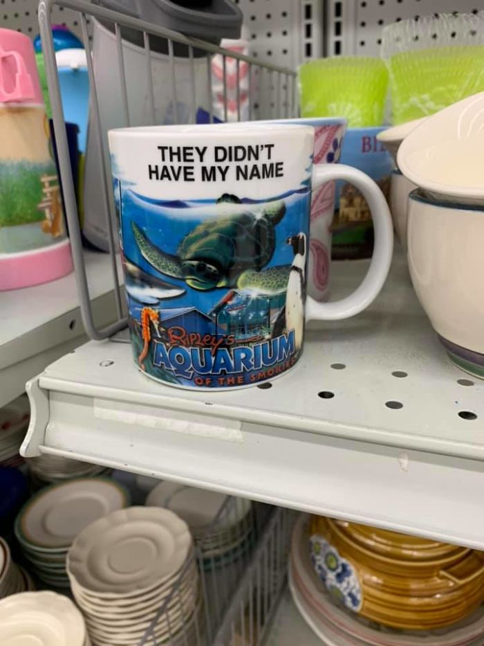 Found This At Goodwill In Charles Town, WV. Made Me Smile And Didn’t Come Home With Me. They Always Have My Name