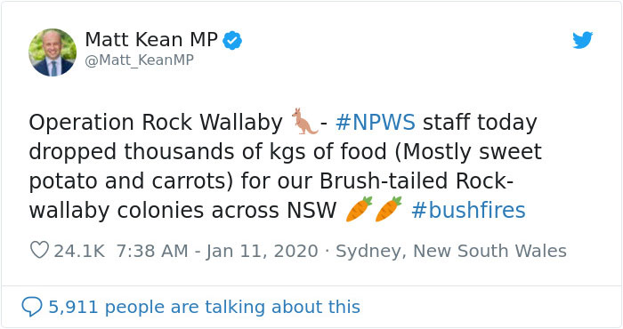 Animals Who Survived Australian Fires Are Starving, So These Planes Dropped Tons Of Vegetables For Them