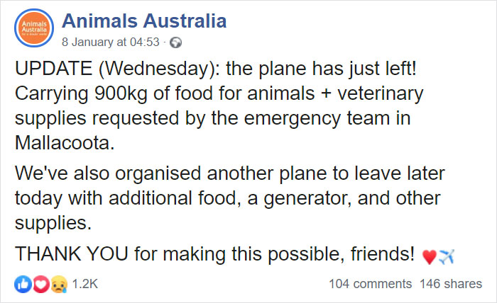 Animals Who Survived Australian Fires Are Starving, So These Planes Dropped Tons Of Vegetables For Them