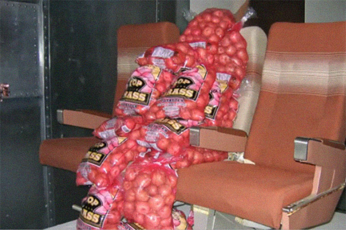 Animals Who Survived Australian Fires Are Starving, So These Planes Dropped Tons Of Vegetables For Them Animals Who Survived Australian Fires Are Starving, So These Planes Dropped Tons Of Vegetables For Them