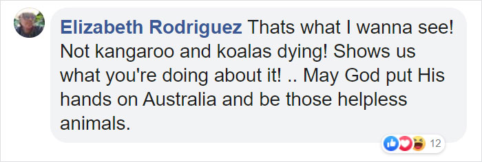 Animals Who Survived Australian Fires Are Starving, So These Planes Dropped Tons Of Vegetables For Them Animals Who Survived Australian Fires Are Starving, So These Planes Dropped Tons Of Vegetables For Them
