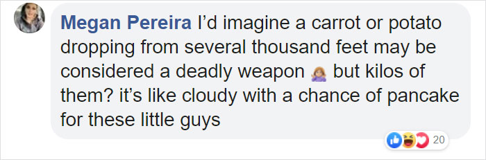 Animals Who Survived Australian Fires Are Starving, So These Planes Dropped Tons Of Vegetables For Them