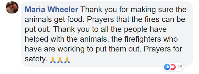 Animals Who Survived Australian Fires Are Starving, So These Planes Dropped Tons Of Vegetables For Them Animals Who Survived Australian Fires Are Starving, So These Planes Dropped Tons Of Vegetables For Them