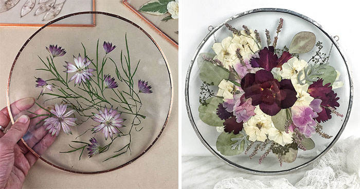 About Two Years Ago, I Picked Up A New Hobby Of Making Flower Herbariums And Here Are My Recent Works