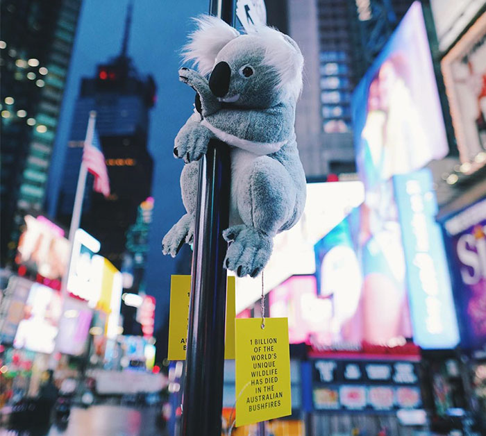 New York City Is Filled With Cute Stuffed Koalas Encouraging People To Donate To Australia (23 Pics)
