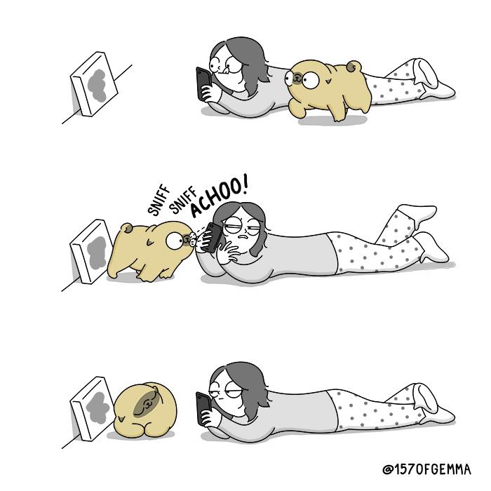 "Living With My Pug Mochi"