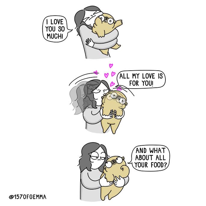 "Living With My Pug Mochi"