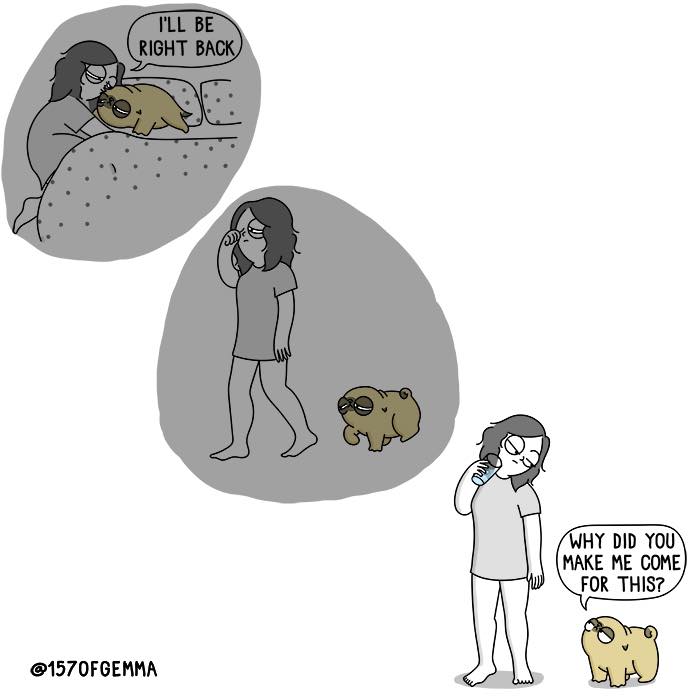 "Living With My Pug Mochi"