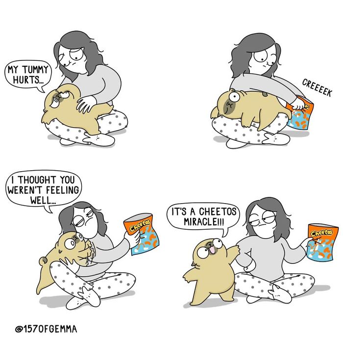 "Living With My Pug Mochi"