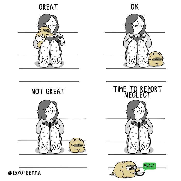 "Living With My Pug Mochi"