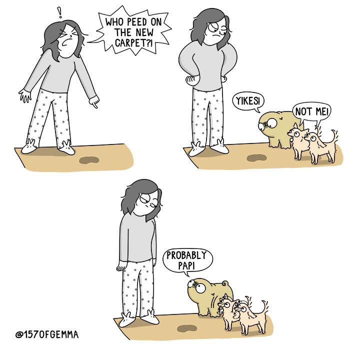 "Living With My Pug Mochi"