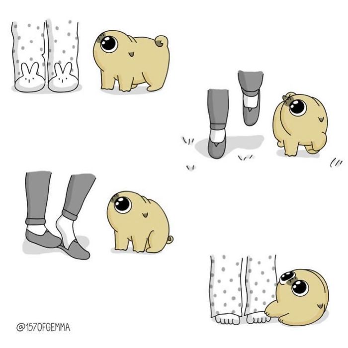 "Living With My Pug Mochi"