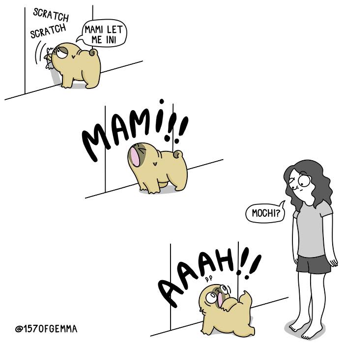 "Living With My Pug Mochi"