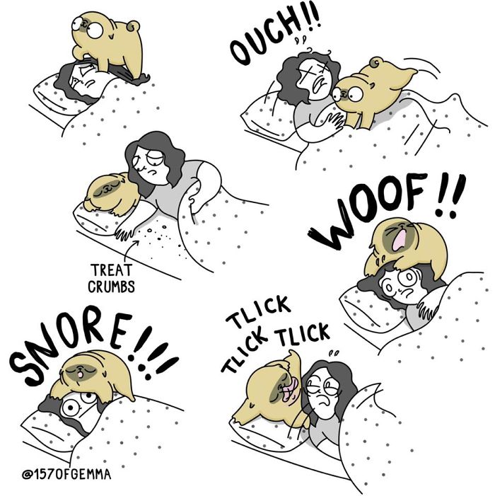 "Living With My Pug Mochi"