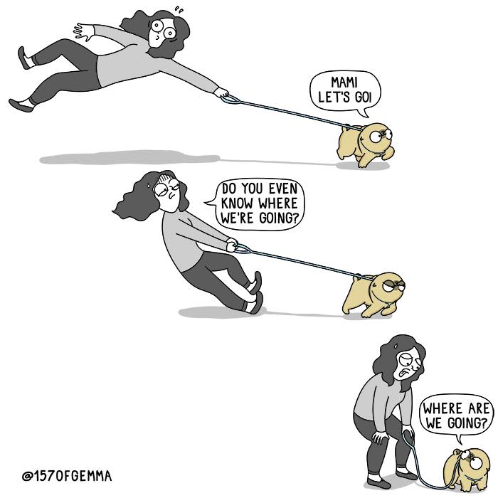 "Living With My Pug Mochi"