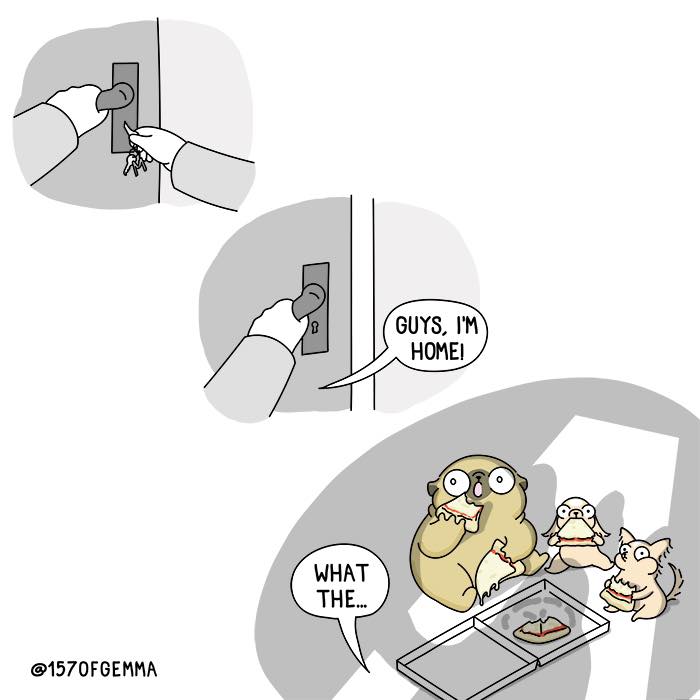 "Living With My Pug Mochi"