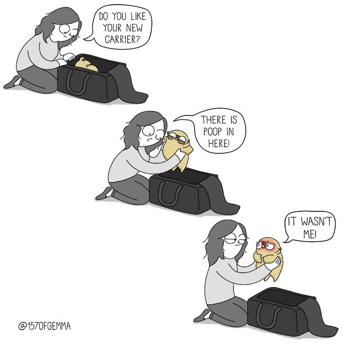 "Living With My Pug Mochi"