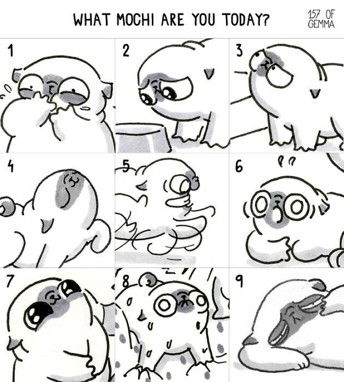 "Living With My Pug Mochi"