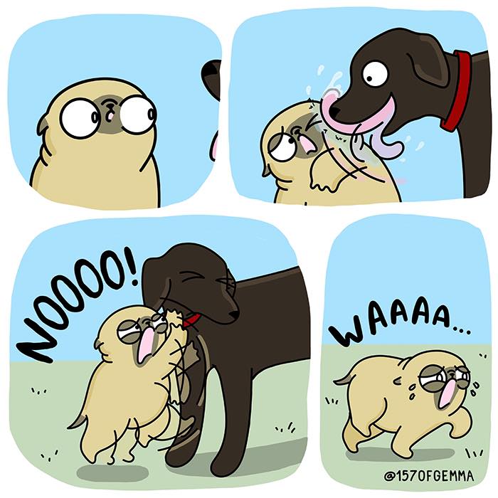 "Living With My Pug Mochi"