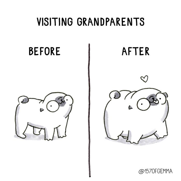 "Living With My Pug Mochi"