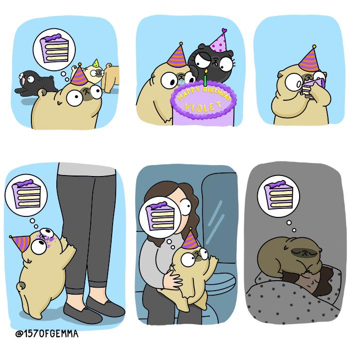 "Living With My Pug Mochi"