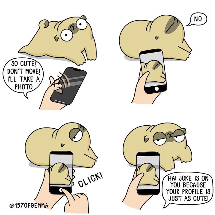 "Living With My Pug Mochi"