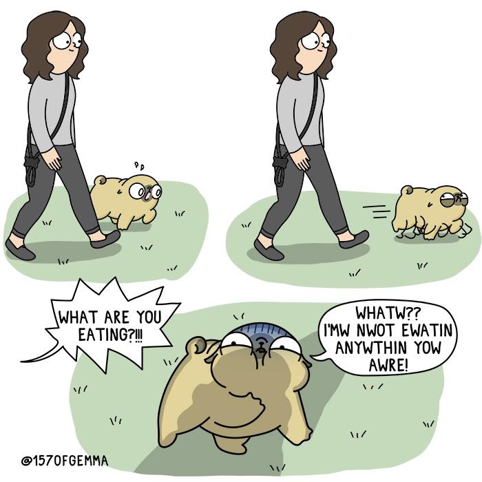 "Living With My Pug Mochi"