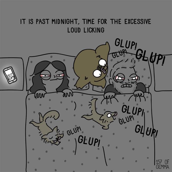 "Living With My Pug Mochi"