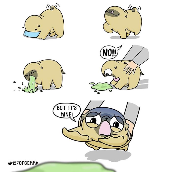 "Living With My Pug Mochi"