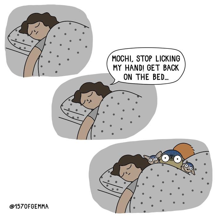 "Living With My Pug Mochi"